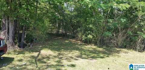 COUNTY ROAD 99, DEATSVILLE, AL 36022