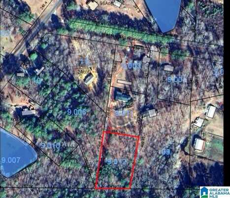 1.17 Acres COUNTY ROAD 137, DELTA, AL 36258