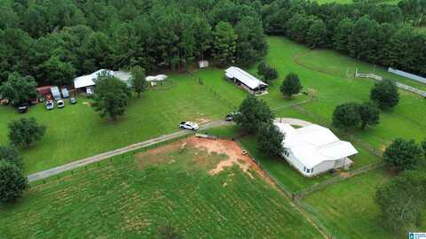 319 KYMULGA ROAD, CHILDERSBURG, AL 35044