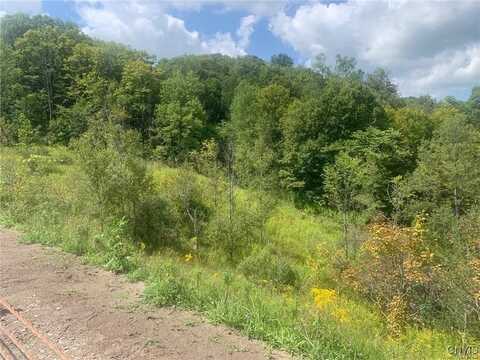 0 Newport Road, Schuyler, NY 13502