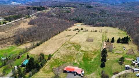 45 Kronus Road, Erin, NY 14838