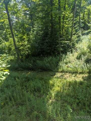 Vl Bowers Road, Stockton, NY 14718