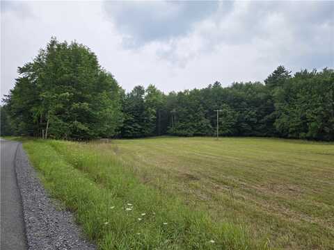 Lot 10 Bull Hill Road, Conesville, NY 12076