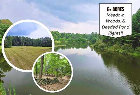 Lot 10 Bull Hill Road, Conesville, NY 12076