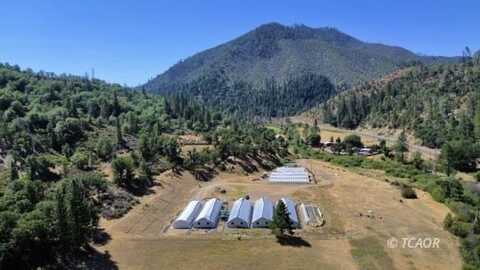 17950 Wildwood Rd, Hayfork, CA 96041