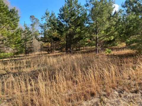 10 Acres Twin PinesRoad, Cordele, GA 31015