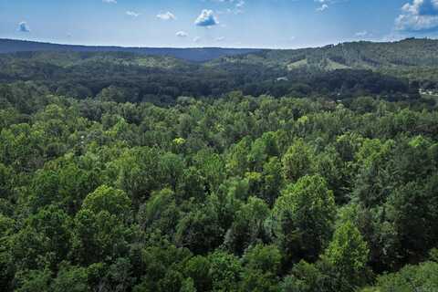 00A W Glazypeau Road, Mountain Pine, AR 71956