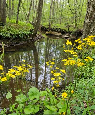 0 Big Mine Road, Palmer, TN 37365