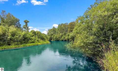 8571 COAT ROAD, BENZONIA, MI 49616