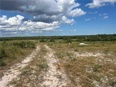County Road 351, Mathis, TX 78368