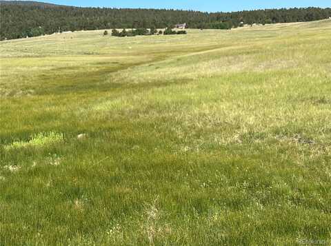Ranch Road, Hartsel, CO 80449