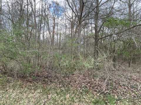 0 Mitchell Lane, Ostrander, OH 43061