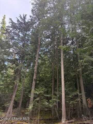 TBD Big Buck Rd, Bayview, ID 83803