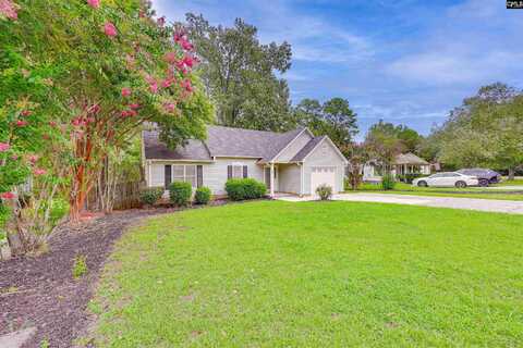 804 Riverwalk Way, Irmo, SC 29063