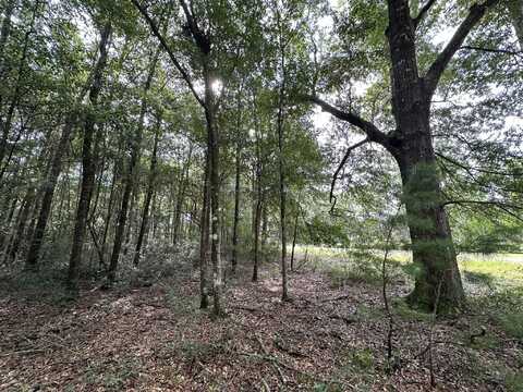 Lot D Pineforest Drive, Crestview, FL 32539