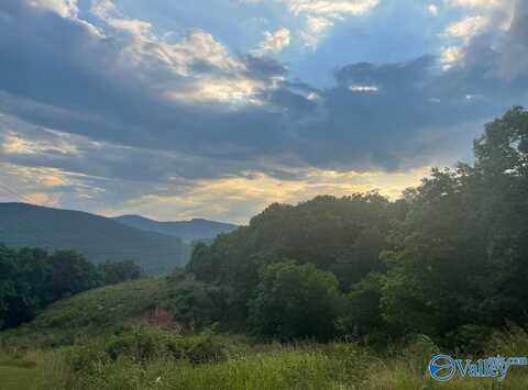 35 Watson Grande Way SE, Owens Cross Roads, AL 35763