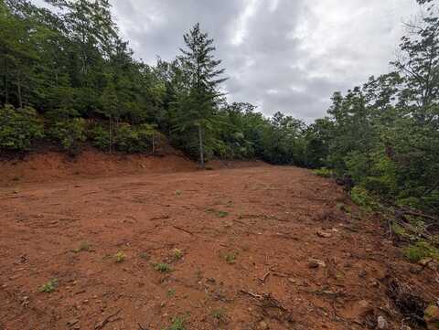 Cherokee Mine Rd, Franklin, NC 28734