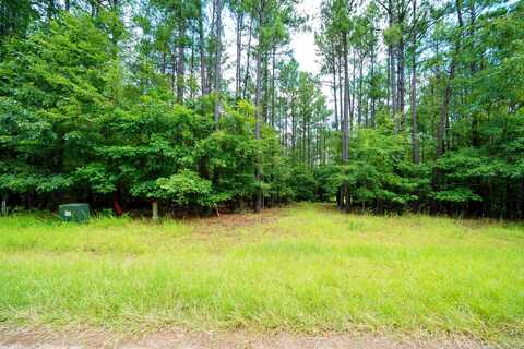 Lot 36 Savannah Ridge Road, Lincolnton, GA 30817