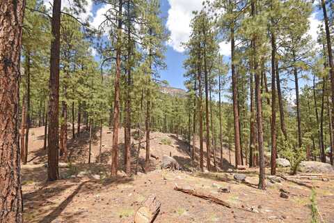 Cool Pines lot: 6A, Jemez Springs, NM 87025