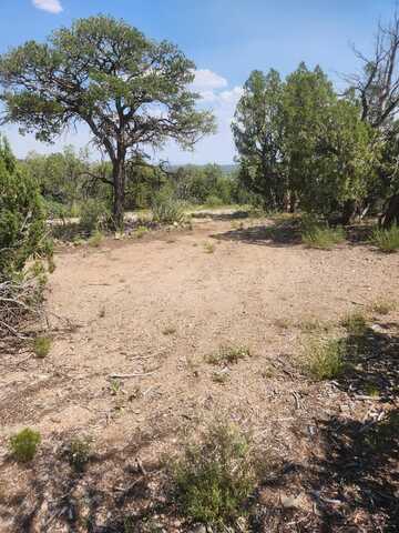 Sweetrock Road lot: 23A/B, Edgewood, NM 87015