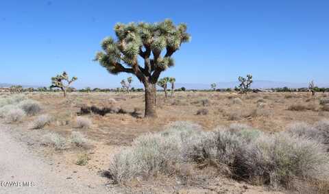 0 W Avenue L10, Lancaster, CA 93536