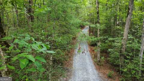0 Hwy 60, Mineral Bluff, GA 30559