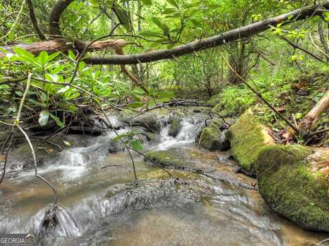 Lot 44 Synacia, Mineral Bluff, GA 30559