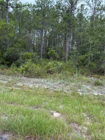00 Heritage Circle, Hortense, GA 31543