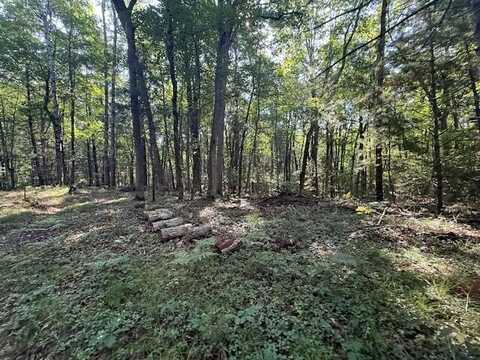 4187 S Forman Road, Baldwin, MI 49304