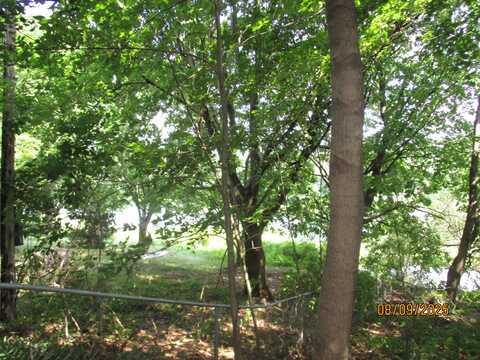 Pine Trail, Three Rivers, MI 49093