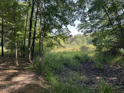 0 Fruitvale Road, Montague, MI 49437