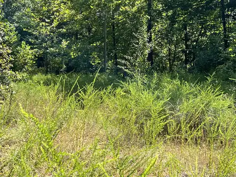 528 Black Oak Road, Mammoth Spring, AR 72554