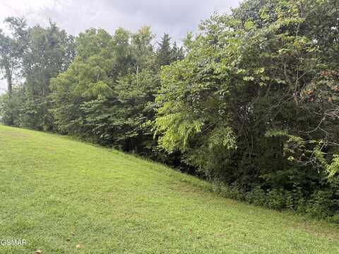 0 Lakeshore Way, Newport, TN 37821
