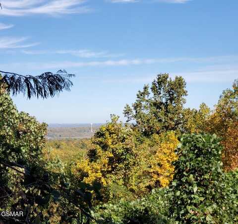 Lot 35r Pine Peak Way, Pigeon Forge, TN 37862