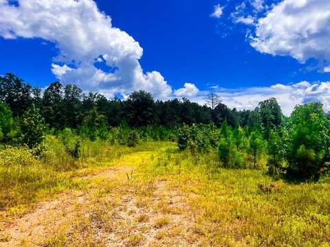 U.S hwy 82, Ethelsville, AL 35461