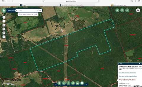 TBD CR 4244, Pittsburg, TX 75686