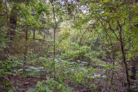 TBD VZ CR 1703, Grand Saline, TX 75140