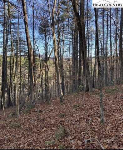 Lots 1 & 2 Toe River Lane, Newland, NC 28657