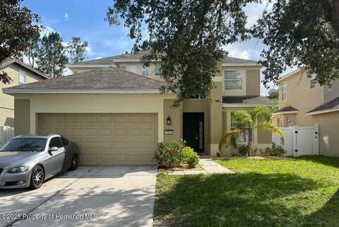 1079 Purple Flower Court, Brooksville, FL 34604