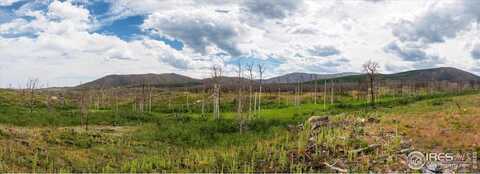 529 Quartz Rd, Bellvue, CO 80512