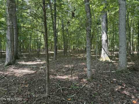 133 Padstow Lane, Lenoir City, TN 37772