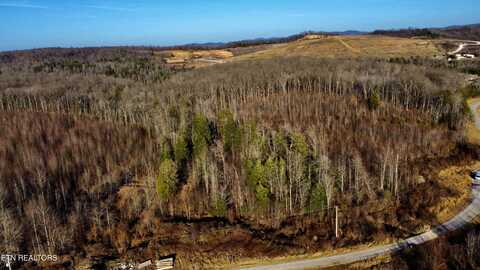 Bear Creek 030 008.00 (Lot 9) Rd, Oneida, TN 37841