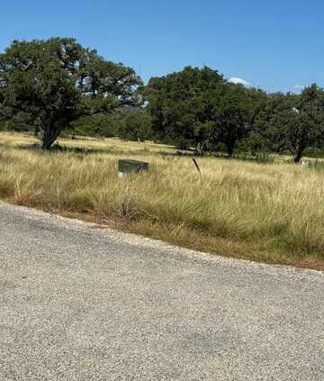 Lot 62 NE FM 783, Harper, TX 78631