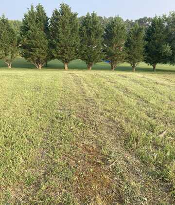 2032 Smokey Meadows Drive, Dandridge, TN 37725