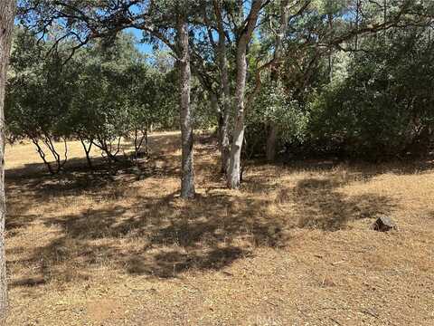 10810 Pingree Road, Clearlake Oaks, CA 95423