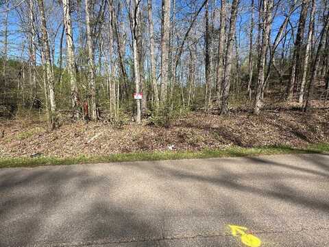 TRACT 5 BRUTON BRANCH, Savannah, TN 38372