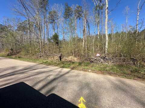TRACT 4 BRUTON BRANCH, Savannah, TN 38372