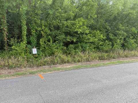 TRACT 3 COFFEE LANDING, Savannah, TN 38372