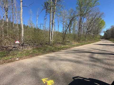 TRACT 3 BRUTON BRANCH, Savannah, TN 38372