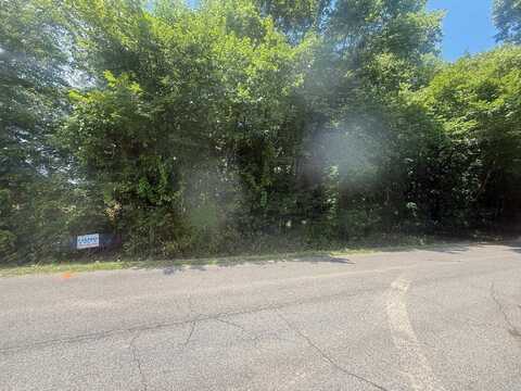 TRACT 9 COFFEE LANDING, Savannah, TN 38372